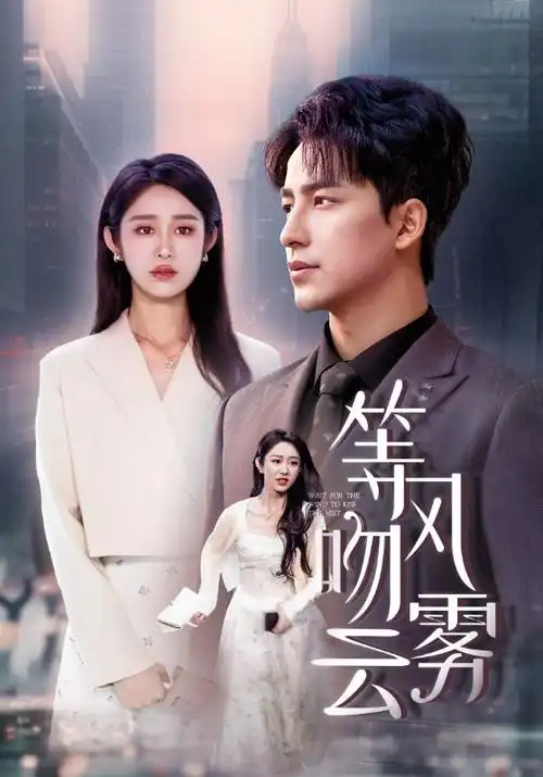 破晓行动 刑侦悬疑电视剧海报